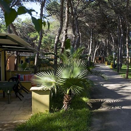 Hotel Camping La Vecchia Torre Gallipoli Exterior foto